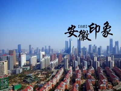 安徽醫(yī)院健康碼安康碼人臉測(cè)溫閘機(jī) 哪家好？?jī)r(jià)格怎么樣？代理招商，生產(chǎn)廠家，價(jià)格，哪家好，多少錢，品牌，報(bào)價(jià)，廠家，哪個(gè)公司好