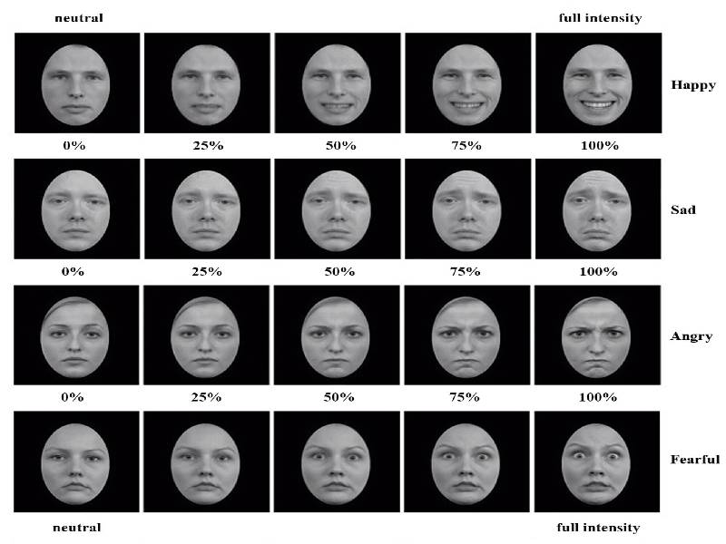 新建项目 (6).jpg